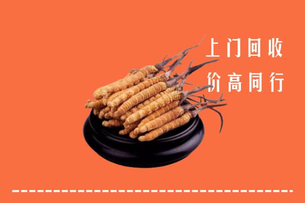 高价求购：佳县回收散虫草